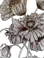 Load image into Gallery viewer, Poppies. Artist Spotlight: Lynda Koshy
