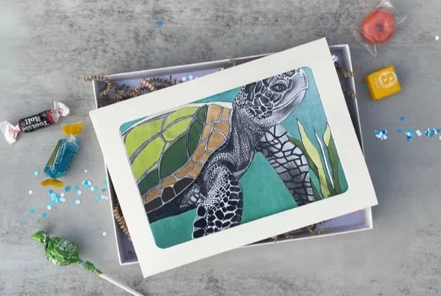 Reflections of a Turtle. Artist Spotlight: Lynda Koshy